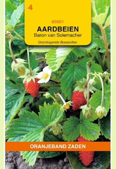 Alpine Strawberry Baron von Solemacher (Fragaria) 850 seeds OBZ